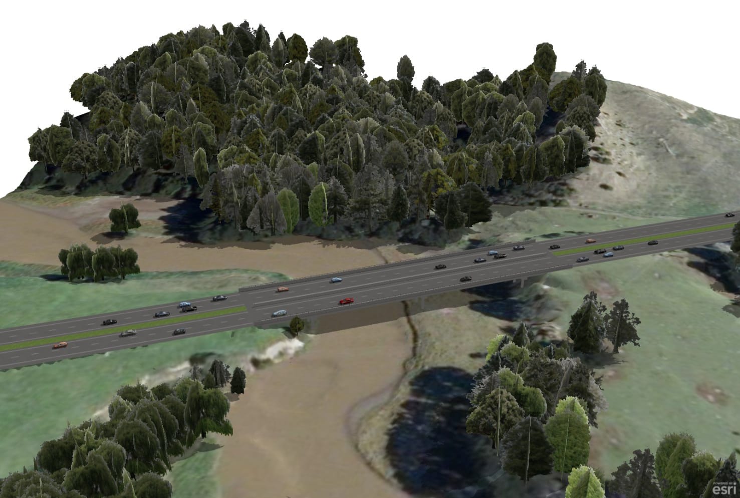 Mansergh Graham Landscape Architects 3D Interactive Modelling - Mangawhara Stream Crossing 3D