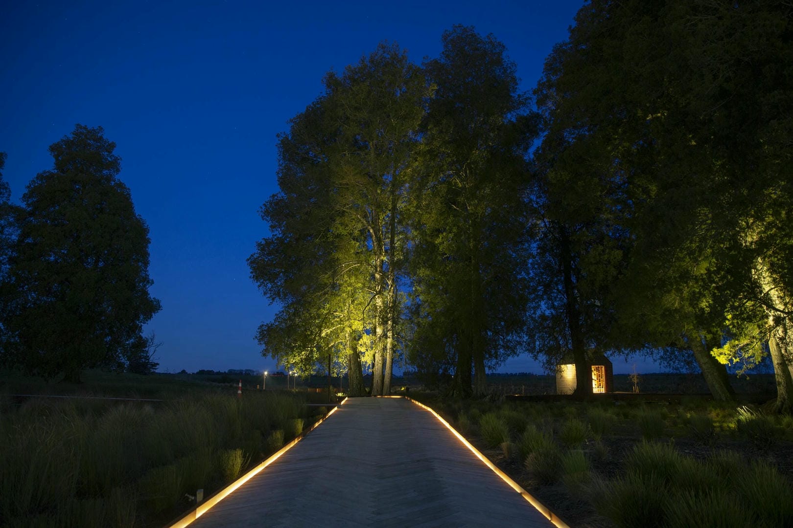 Temple View - Lighting on Boardwalk - Mansergh Graham Landscape Architects