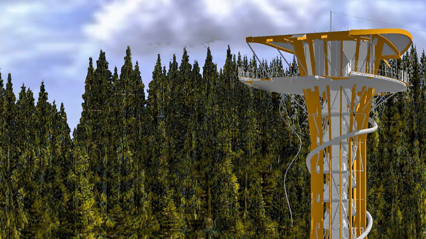 2. A Waitomo Sky Garden